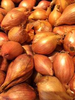 SHALLOTS