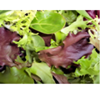 GOURMET SALAD MIX PREPACK