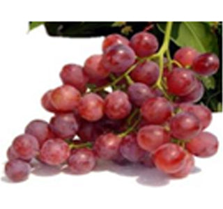 RED SEEDLESS GRAPES