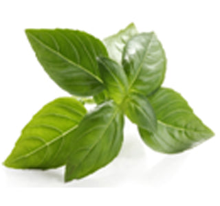 BASIL