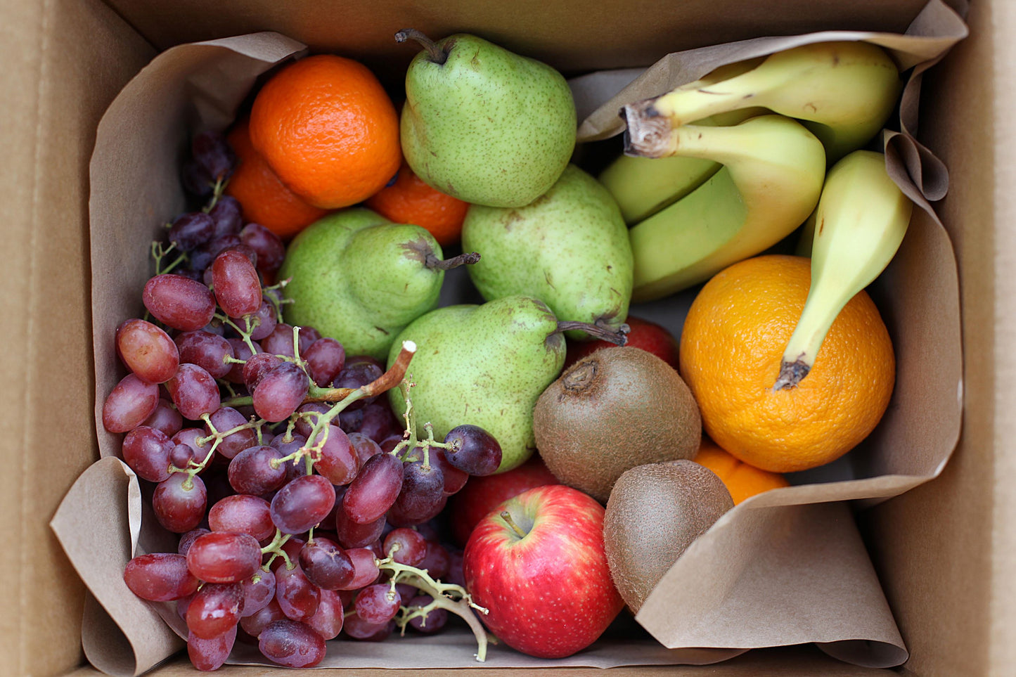 School Lunch Box - packed with  easy portion fruit for kids