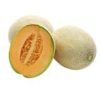 LARGE ROCKMELON