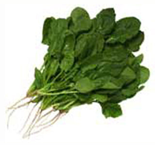 BUNCH OF SPINACH