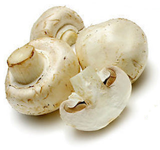 WHITE MUSHROOM