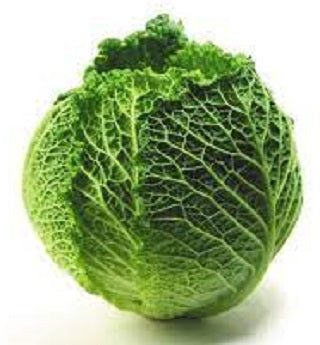 SAVOY CABBAGE