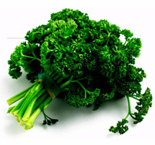 CURLY PARSLEY