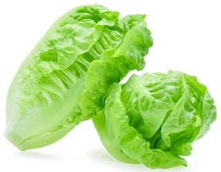BABY COS LETTUCE TWIN PACK