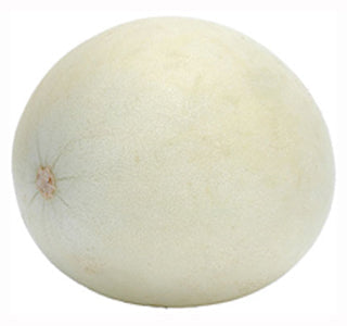 HONEYDEW MELON
