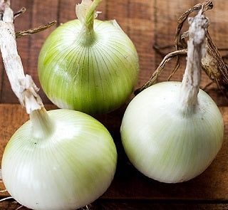 SALAD ONIONS