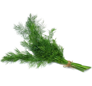 DILL