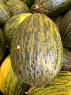 PIEL DE SAPO MELON