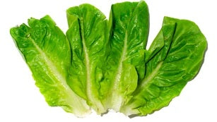 LOOSE BABY COS LETTUCE