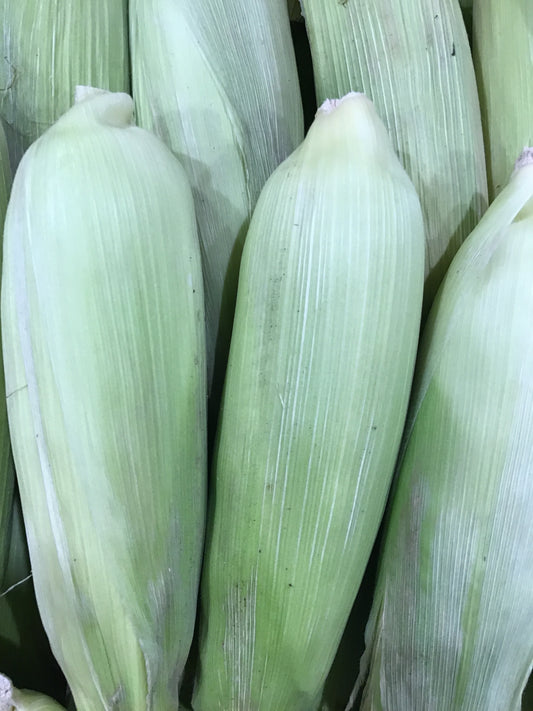 SUPER SWEET CORN