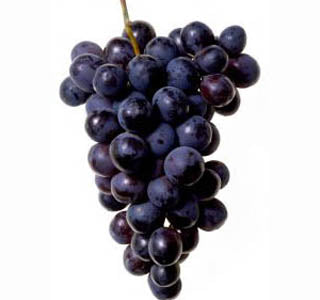 BLACK SEEDLESS GRAPES