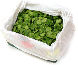 1.5 KG BABY SPINACH BOX