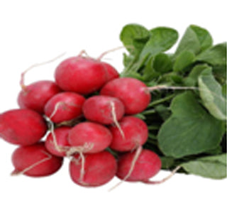 RED RADISH