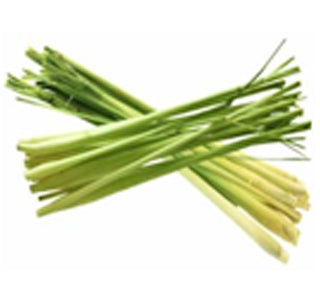 LEMONGRASS