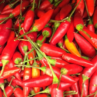 RED BULLET CHILLIES