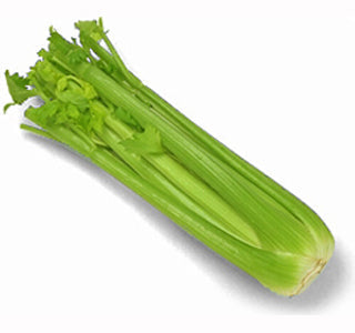 CELERY