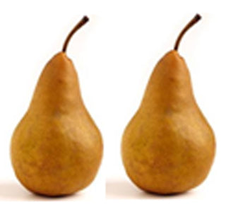 BEURRE BOSC PEARS