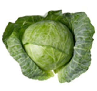 WHOLE PLAIN CABBAGE