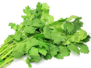 CORIANDER